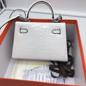 Hermes-22cm-Kelly-Bag-Crocodile-Stripe-Handbag-White-With-Silver-_3